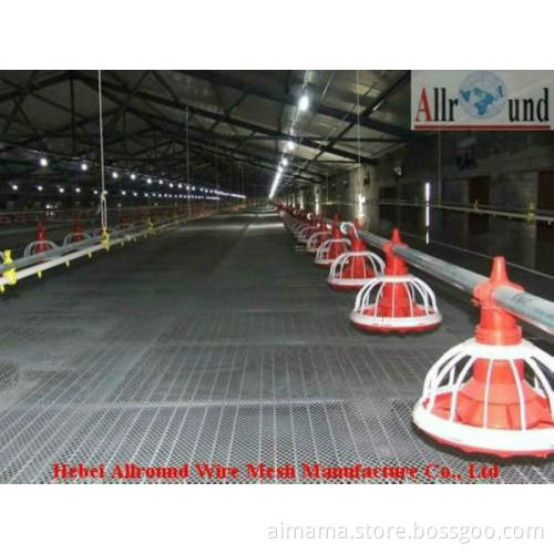 Manufacturer of Automatic pan feeding system for Chicken Cage